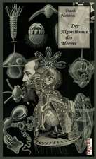 Der Algorithmus des Meeres