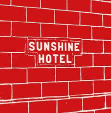 Epstein, M: Mitch Epstein: Sunshine Hotel