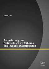 Reduzierung Der Netzverluste Im Rahmen Von Investitionstatigkeiten: Konzepte, Ziele Und Herausforderungen in Der Krankenhauspraxis