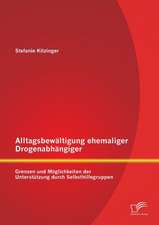 Alltagsbewaltigung Ehemaliger Drogenabhangiger: Grenzen Und Moglichkeiten Der Unterstutzung Durch Selbsthilfegruppen