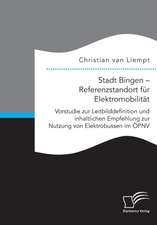 Stadt Bingen ¿ Referenzstandort für Elektromobilität. Vorstudie zur Leitbilddefinition und inhaltlichen Empfehlung zur Nutzung von Elektrobussen im ÖPNV