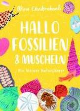 Hallo Fossilien & Muscheln