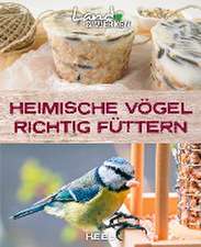 Heimische Vögel richtig füttern