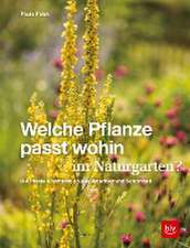 Welche Pflanze passt wohin im Naturgarten?