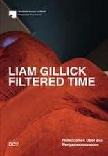 Liam Gillick. Filtered Time