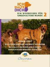 Die sichere Bindung ist die besten Erziehung. Die H.A.L.T.-Methode nach Cordt: Mensch-Hund-Bindung gestalten