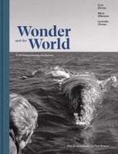 Wonder and the World