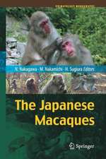 The Japanese Macaques