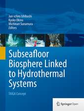 Subseafloor Biosphere Linked to Hydrothermal Systems: TAIGA Concept