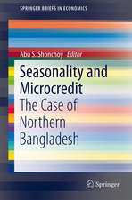 Seasonality and Microcredit