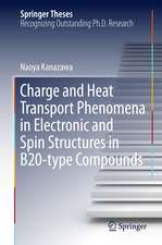 Charge and Heat Transport Phenomena in Electronic and Spin Structures in B20-type Compounds