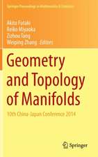 Geometry and Topology of Manifolds: 10th China-Japan Conference 2014