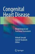 Congenital Heart Disease: Morphological and Functional Assessment