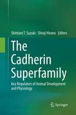 The Cadherin Superfamily: Key Regulators of Animal Development and Physiology