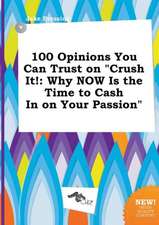 100 Opinions You Can Trust on Crush It!: Why Now Is the Time to Cash in on Your Passion