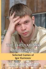 The Chelyabinsk Meteorite