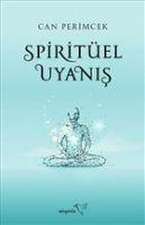 Spiritüel Uyanis