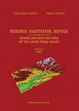 Worship, habitation, refuge : Bronze and Iron age sites of the lower Feneş Valley