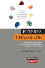 Puterea chakrelor. Deblochează-ţi cei şapte centri energetici ai vindecării, fericirii şi transformării