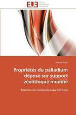 Proprietes Du Palladium Depose Sur Support Zeolithique Modifie: Interrogations Et Conseils