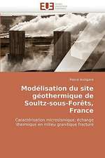 Modélisation du site géothermique de Soultz-sous-Forêts, France