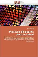 Maillage de Qualite Pour Le Calcul