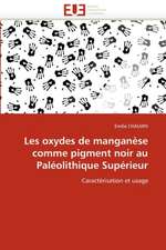 Les Oxydes de Manganese Comme Pigment Noir Au Paleolithique Superieur