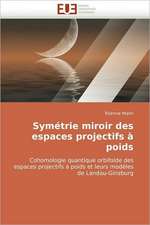 Symetrie Miroir Des Espaces Projectifs a Poids: Concepts, Evaluation Et Mise En Oeuvre