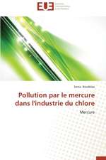 Pollution Par Le Mercure Dans L'Industrie Du Chlore: Integration Et/Ou Assimilation?