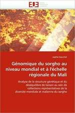 Genomique Du Sorgho Au Niveau Mondial Et A L'Echelle Regionale Du Mali: Entre Ideaux Et Logique Commerciale