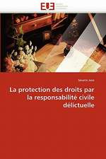 La protection des droits par la responsabilité civile délictuelle