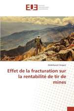 Effet de La Fracturation Sur La Rentabilite de Tir de Mines