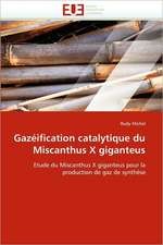 Gazeification Catalytique Du Miscanthus X Giganteus: Evaluation de La Dosimetrie Des Extremites