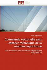 Commande Vectorielle Sans Capteur Mecanique de La Machine Asynchrone: Biodiversite Et Biovalorisation