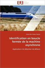 Identification En Boucle Fermee de La Machine Asynchrone: Logiques Sous-Jacentes