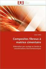 Composites Fibreux a Matrice Cimentaire: Transformations Thermiques Et Frittage