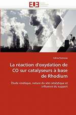 La Reaction D''Oxydation de Co Sur Catalyseurs a Base de Rhodium: Etude Asymptotique Et Simulation