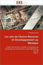 Les Cles de L''Arene Remesas Et Developpement Au Mexique