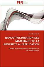 Nanostructuration Des Materiaux: de La Propriete A L''Application