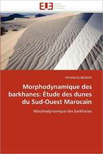 Morphodynamique des barkhanes: Étude des dunes du Sud-Ouest Marocain