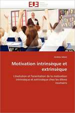 Motivation Intrinseque Et Extrinseque: Opportunite Ou Risque?