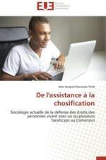 de L'Assistance a la Chosification: Une Methodologie de Modelisation Multiple Et Incrementielle