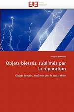 Objets Blesses, Sublimes Par La Reparation