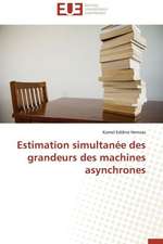 Estimation Simultanee Des Grandeurs Des Machines Asynchrones: Realite Ou Perspective?