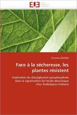 Face à la sécheresse, les plantes résistent