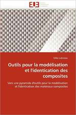 Outils pour la modélisation et l'identication des composites