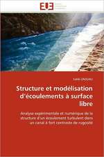 Structure et modélisation d¿écoulements à surface libre