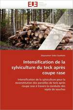 Intensification de la sylviculture du teck après coupe rase