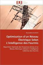 Optimisation D''Un Reseau Electrique Selon L''Intelligence Des Fourmis: Bilan Et Perspectives (2001-2008)