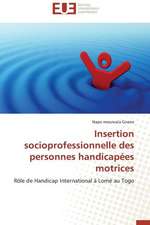 Insertion Socioprofessionnelle Des Personnes Handicapees Motrices